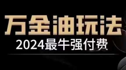 2024最牛强付费，万金油强付费玩法，干货满满，全程实操起飞（更新12月）-智创网