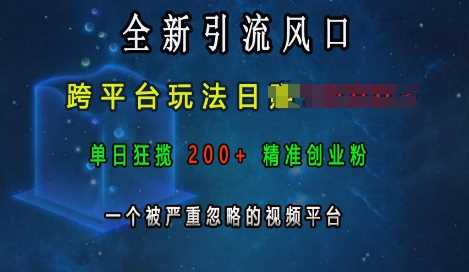 全新引流风口，跨平台玩法日入上k，单日狂揽200+精准创业粉，一个被严重忽略的视频平台-智创网