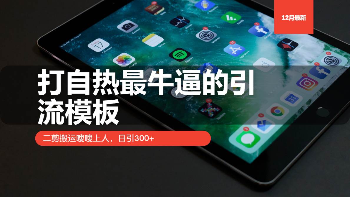 （13654期）打自热最牛逼的引流模板，二剪搬运嗖嗖上人，日引300+-智创网
