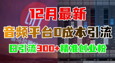 12月最新：音频平台0成本引流，日引流300+精准创业粉-智创网