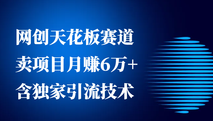 网创天花板赛道，卖项目月赚6万+，含独家引流技术（共26节课）-智创网