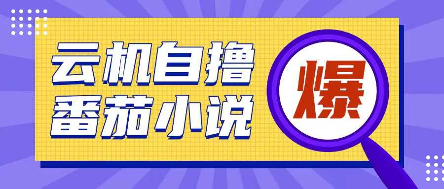 首发云手机自撸小说玩法，10块钱成本可撸200+收益操作简单【揭秘】-智创网