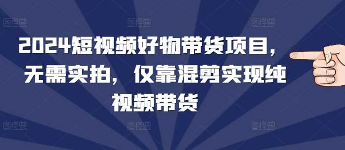 2024短视频好物带货项目，无需实拍，仅靠混剪实现纯视频带货-智创网