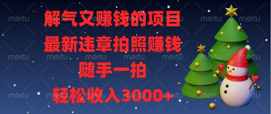 （13804期）解气又赚钱的项目，最新违章拍照赚钱，随手一拍，轻松收入3000+-智创网