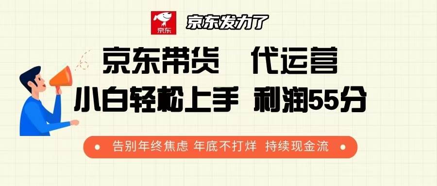 （13833期）京东带货 代运营 利润55分 告别年终焦虑 年底不打烊 持续现金流-智创网