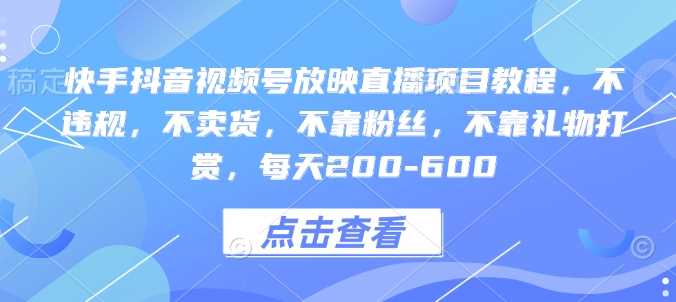 快手抖音视频号放映直播项目教程，不违规，不卖货，不靠粉丝，不靠礼物打赏，每天200-600-智创网