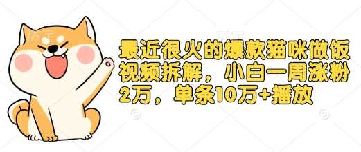 最近很火的爆款猫咪做饭视频拆解，小白一周涨粉2万，单条10万+播放(附保姆级教程)-智创网
