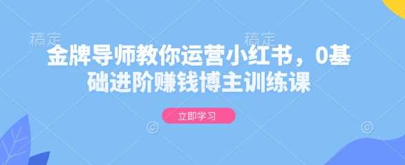 金牌导师教你运营小红书，0基础进阶赚钱博主训练课-智创网