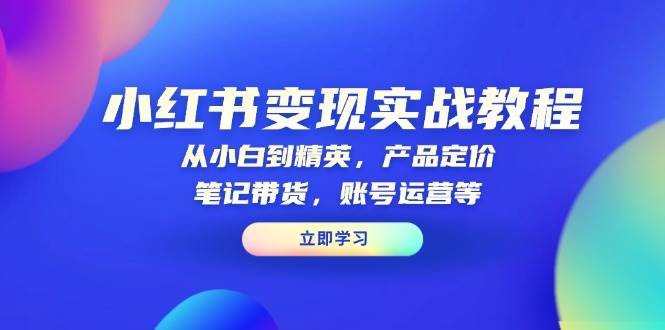 （13923期）小红书变现实战教程：从小白到精英，产品定价，笔记带货，账号运营等-智创网