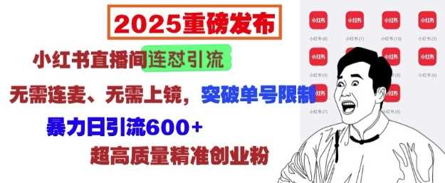 2025重磅发布：小红书直播间连怼引流，无需连麦、无需上镜，突破单号限制，暴力日引流600+-智创网