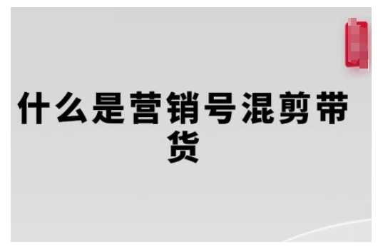 营销号混剪带货，从内容创作到流量变现的全流程，教你用营销号形式做混剪带货-智创网