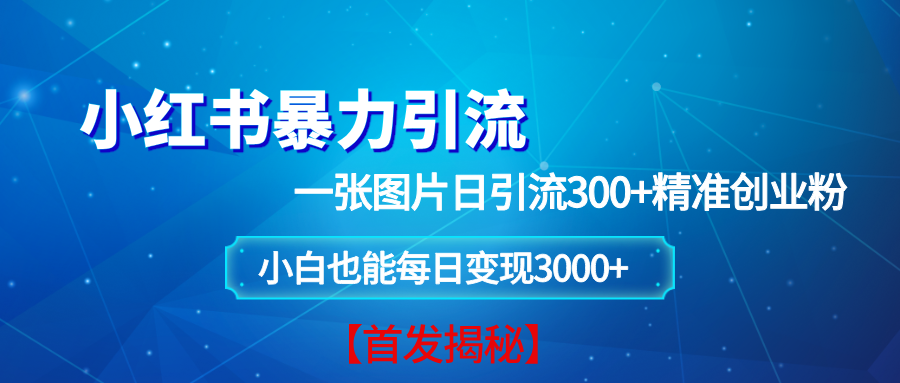 （13935期）小红书暴力引流法，一张图片日引 300+精准创业粉，每日稳定变现 3000+【揭秘】-智创网