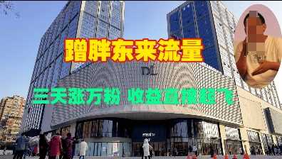蹭胖东来流量，三天涨万粉，收益直接起飞-智创网