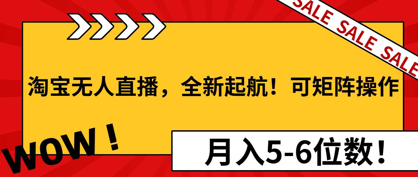 （13946期）淘宝无人直播，全新起航！可矩阵操作，月入5-6位数！-智创网