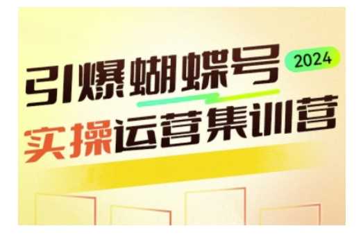 引爆蝴蝶号实操运营，助力你深度掌握蝴蝶号运营，实现高效实操，开启流量变现之路-智创网