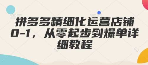 拼多多精细化运营店铺0-1，从零起步到爆单详细教程-智创网