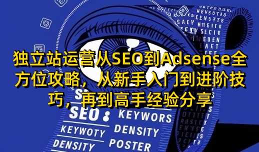 独立站运营从SEO到Adsense全方位攻略，从新手入门到进阶技巧，再到高手经验分享-智创网