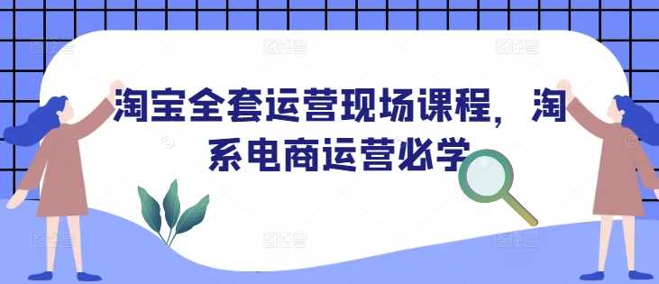 淘宝全套运营现场课程，淘系电商运营必学-智创网