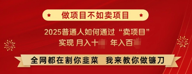必看，做项目不如卖项目，2025普通人如何通过“卖项目”实现月入十个，年入百个-智创网