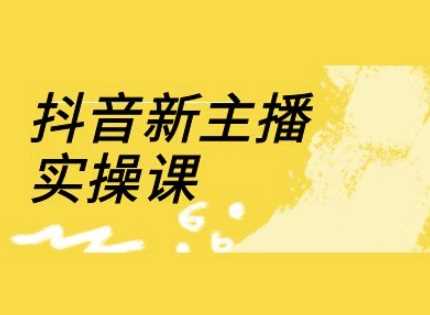 抖音新主播实操课，直播间流量运营线上实操课(18节)-智创网