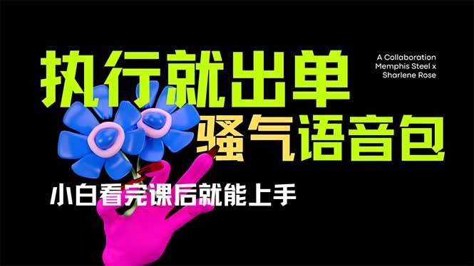 （14170期）爆火全网的开车导航骚气语音包,只要执行就出单，小白看完课程就能实操…-智创网
