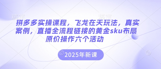 拼多多实操课程，飞龙在天玩法，真实案例，直播全流程链接的黄金sku布局原价操作六个活动-智创网