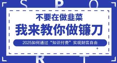 韭菜生涯终结者，我来教你做镰刀，2025如何通过“知识付费”实现财F自由【揭秘】-智创网