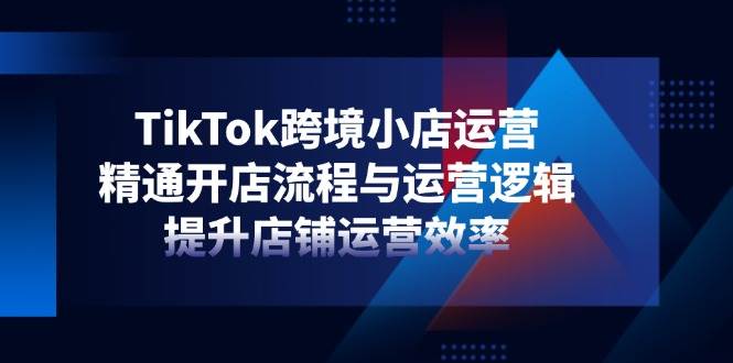 （14369期）TikTok跨境小店运营，精通开店流程与运营逻辑，提升店铺运营效率-智创网