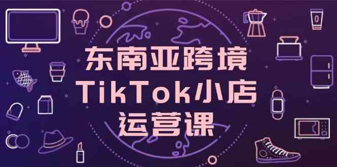 东南亚跨境TikTok小店运营课，掌握店铺设置与流量转化核心技巧-智创网