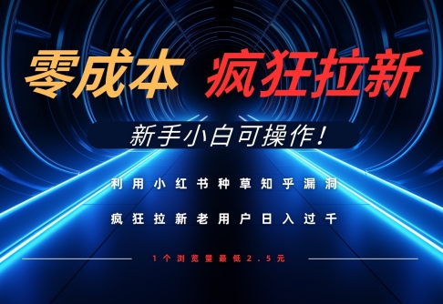 利用小红书种草知乎漏洞，零成本疯狂拉新日入数张，新手小白可操作-智创网