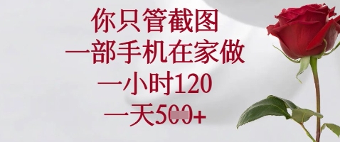 你只管截图，一部手机在家做，苹果安卓都可以，一小时120，一天5张+【揭秘】-智创网